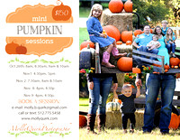 Fall Photos & Pumpkin Minis!